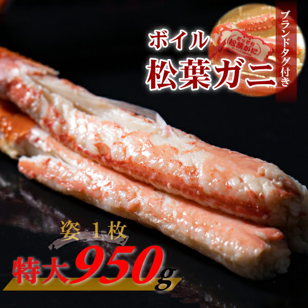 【ふるさと納税】 【先行予約】【魚倉】タグ 付き ボイル 松葉ガニ （特大 950g 以上） ズワイガニ 松...