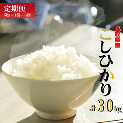 鳥取県産 コシヒカリ 6回 定期便 合計30kg（5kg×6回）米 白米 定期便 こしひかり 新米 お米 米 こめ コメ 白米 コシヒカリ