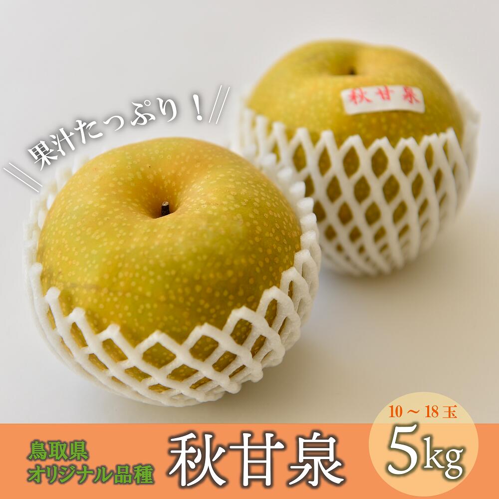 20位! 口コミ数「1件」評価「5」先行予約 秋甘泉 【 倉吉 産】 5kg （JA 鳥取 中央） 数量限定 令和6年産 梨 ナシ なし 赤梨 フルーツ 果物 鳥取県産 あきか･･･ 