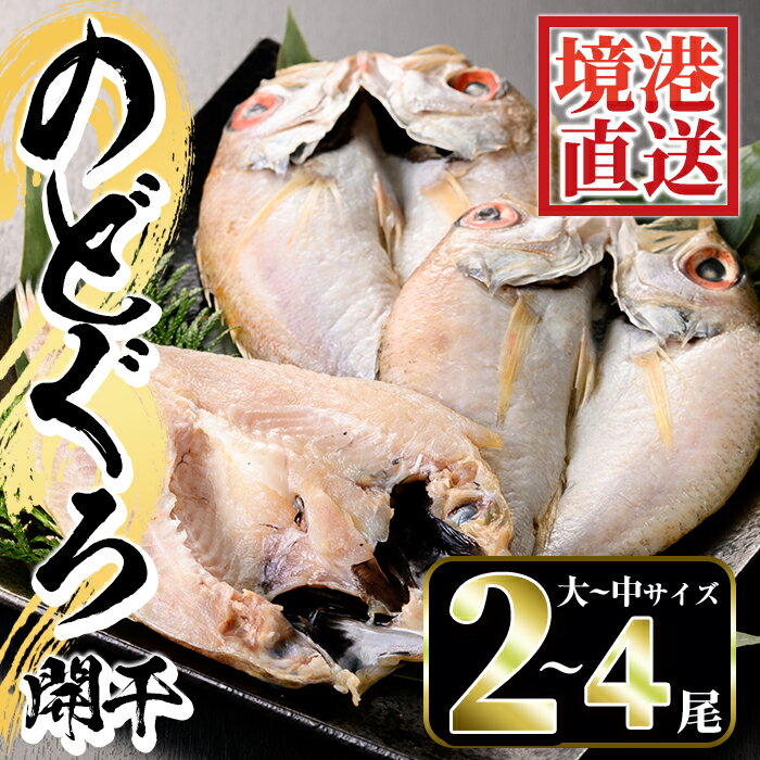 【ふるさと納税】のどぐろ開干(大～中サイズ/2～4尾) 国産 魚介 干物 干し物 白身 海の幸 のどぐろ 赤ムツ アカムツ 冷凍 おかず おつまみ お土産 ギフト【sm-AA006】【いたくら】