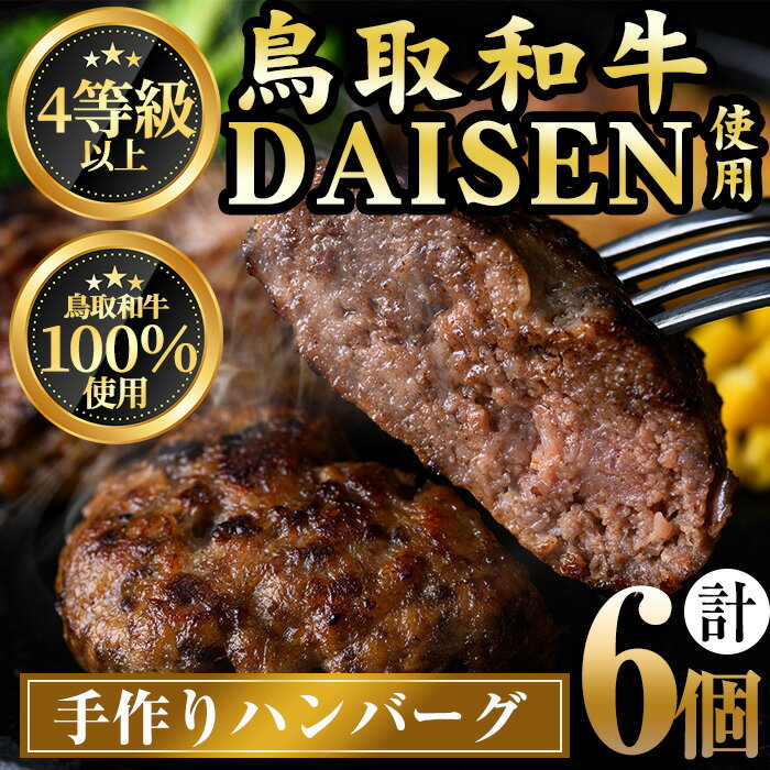 【ふるさと納税】鳥取和牛DAISENハンバーグ(計6個)国産 鳥取県産 大山 手作り 牛肉 和牛 お肉 肉 惣菜 お取り寄せ ギフト プレゼント 誕生日プレゼント お祝い 贈答品【A33】【大幸】