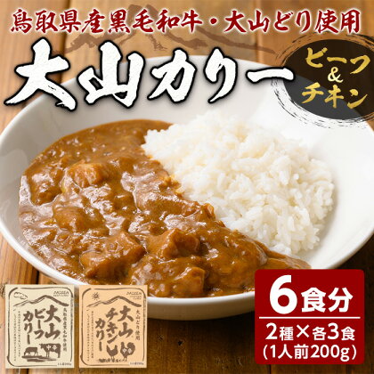 大山カリーセット(2種・計6個)鳥取県 境港市 カレーライス カレー ビーフカレー ビーフカリー チキンカレー チキンカリー 黒毛和牛 大山どり 鶏 鳥 ブランド鶏 本格 本格派 レトルト 国産 野菜【sm-AU001】【鳥取缶詰】