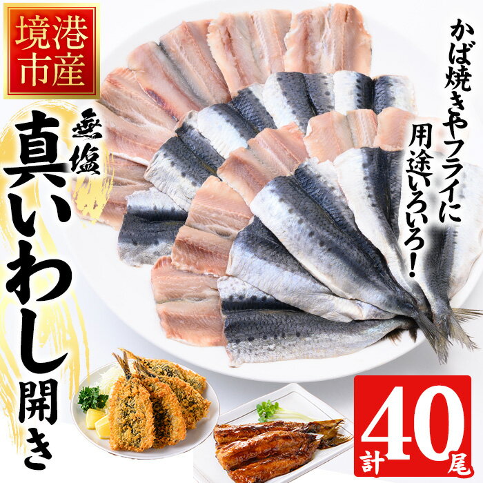 魚介類・水産加工品(イワシ)人気ランク7位　口コミ数「1件」評価「5」「【ふるさと納税】境港産 無塩いわしひらき(計40尾・4パック)鳥取県 境港市 いわし イワシ 鰯 開き かば焼き フライ 天ぷら 煮物 簡単調理 便利 真空パック 骨抜き 鮮魚 魚 魚介 海鮮 海の幸 お取り寄せ【sm-CD002】【羽根】」