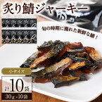 【ふるさと納税】炙り鯖ジャーキー(30g×10袋)鳥取県 境港市 炙り鯖ジャーキー さば サバ おつまみ おやつ 小袋 個包装 食べきり【sm-CD003】【羽根】