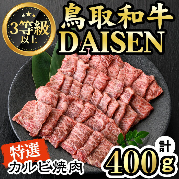 【ふるさと納税】鳥取和牛DAISEN特選カルビ焼肉用(計40