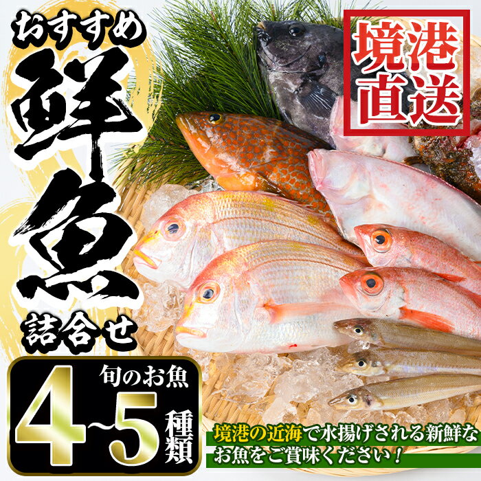 [選べる][7〜8月・年末年始配送不可]おすすめ鮮魚詰め合わせ(4〜5種類)魚 魚介 魚貝類 鮮魚 新鮮 海鮮 境港 旬 詰め合わせ セット[sm-AA003][いたくら]