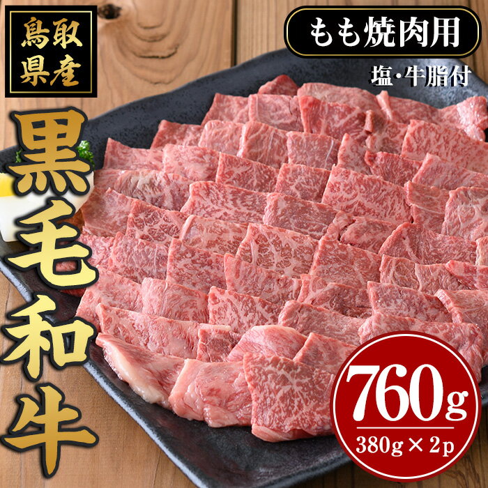 【ふるさと納税】鳥取黒毛和牛もも焼肉用 計760g 国産 鳥取県産 もも 牛肉 お肉 肉 牛脂 冷凍 オリジナル調味塩 お取り寄せ ギフト プレゼント 誕生日プレゼント お祝い 【sm-AP008】【いろは…