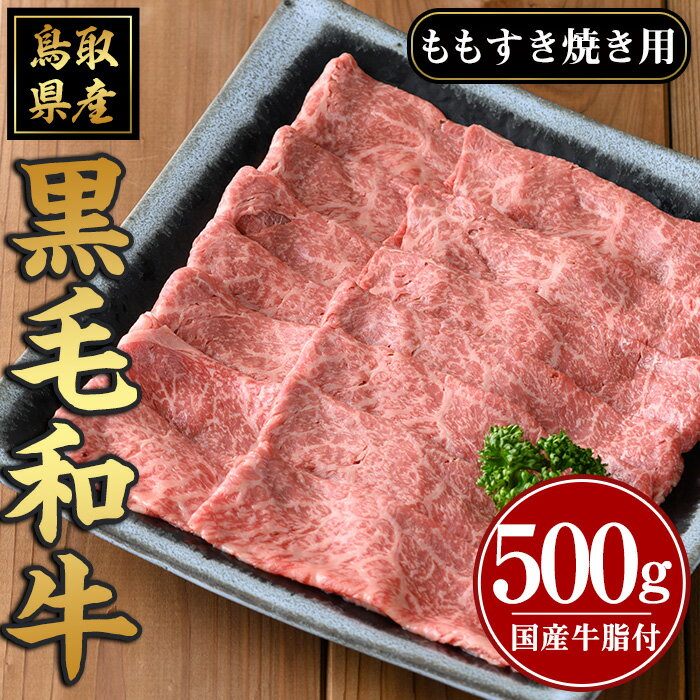 鳥取黒毛和牛 すき焼き用(計500g)国産 牛肉 黒毛和牛 ビーフ 赤身 もも モモ もも肉 すき焼き ギフト 冷凍[sm-AP003][いろは精肉本店]