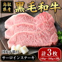 【ふるさと納税】鳥取黒毛和牛サーロインステーキ(計3枚)国産 牛肉 黒毛和牛 和牛肉 サーロイン ステーキ BBQ バーベキュー ギフト 贈答【sm-AP002】【いろは精肉本店】