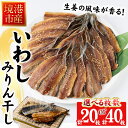【ふるさと納税】<枚数が選べる>境港いわしみりん干し(20枚 / 40枚)鳥取県 境港市 いわし イワシ 鰯 みりん干し オリジナルのタレ 生姜 酒の肴 おつまみ おかず 簡単調理 鮮魚 魚 魚介 海鮮 海の幸 お取り寄せ【sm-CD011】【羽根】