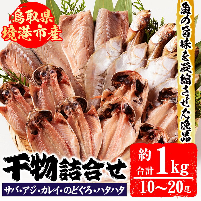 【ふるさと納税】前浜干物セットA(合計約1kg・10～20尾) 国産 魚介 海鮮 海の幸 鯖 さば サバ 鯵 あじ アジ かれい カレイ のどぐろ ハタハタ 一夜干し 干物 干し物 地魚 冷凍 魚 塩サバ あじの開き 焼き魚 詰合わせ セット ギフト 【sm-AH001】【大海】