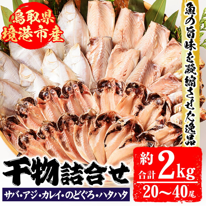 【ふるさと納税】前浜干物セットC(合計約2kg・20～40尾)干物 ひもの 魚介類 魚 サバ カレイ のどぐろ ハタ あじ アジ セット 詰め合わせ おかず おつまみ 一夜干し 開き フィレ フィーレ 個包装 冷凍【sm-AH002】【大海】