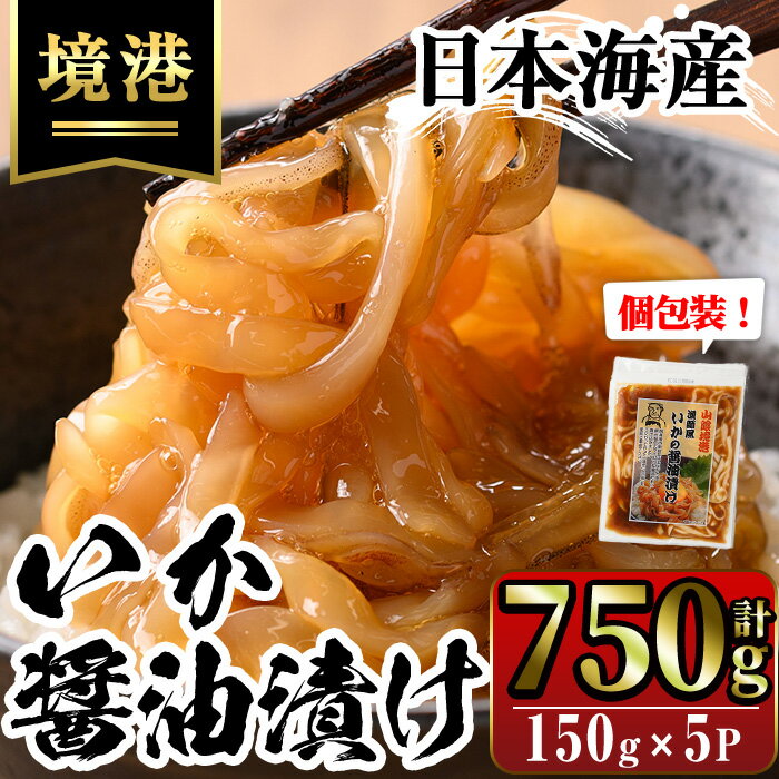 網元直伝の漁師飯！いか醤油漬け 満足セット(計750g・150g×5P入) 国産 地魚 魚介 海鮮 醤油漬け 海の幸 おつまみ いか イカ 冷凍 贈答 