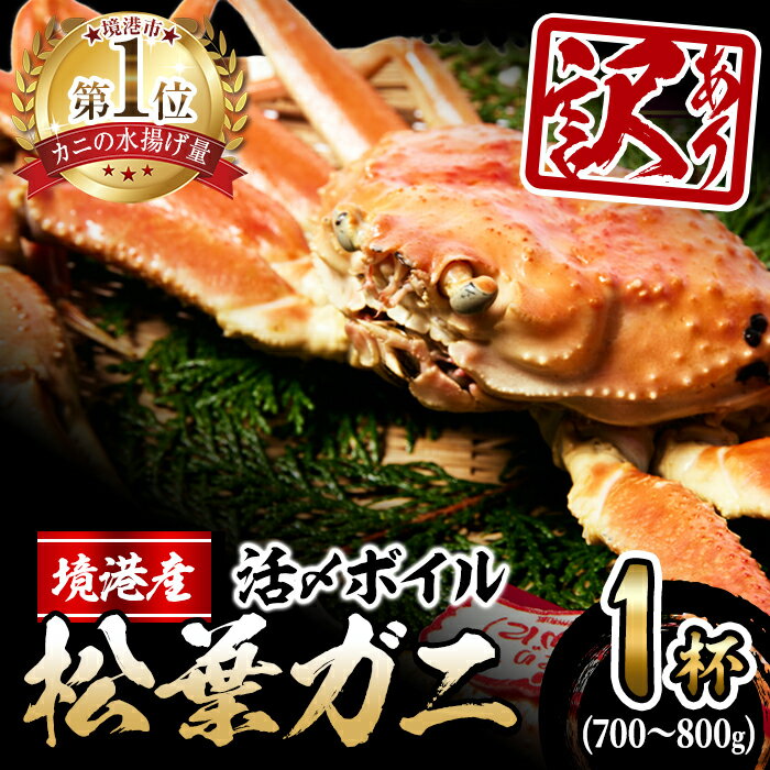 【ふるさと納税】<11月中旬〜順次発送予定><訳あり>活〆ボイル松葉蟹(700〜800g) 魚介 海鮮 海の幸 カニ かに 蟹 松葉ガニ 活〆 ボイル 焼きガニ...