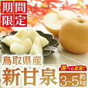 【ふるさと納税】<数量限定><2025年8月下旬以降順次発送予定><選べる重量>鳥取県産新甘泉(約3~5kg) 国産 鳥取県 鳥取県産 梨 なし ナシ 果物 くだもの フルーツ スイーツ 旬 詰め合わせ 【sm-BZ004】【岡田商店】
