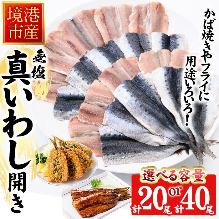 ڤդ뤵Ǽǡ̤ۡ٤䶭 ̵路Ҥ餭(20 / 40)Ļ踩  路 亮   оƤ ե饤 ...