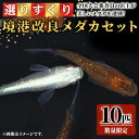 3位! 口コミ数「0件」評価「0」＜数量限定＞選りすぐり改良メダカセット(10匹) メダカ 改良メダカ 選別 美しい 生き物 生体 メダカ めだか お魚 魚 観賞魚 ペット ･･･ 