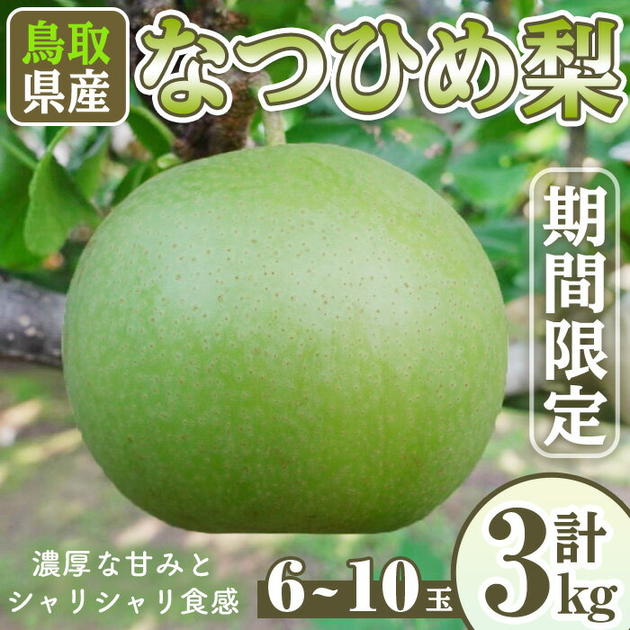 [先行予約受付中!8月下旬〜10月下旬発送予定][数量限定]こばやし農園なつひめ梨(計3kg・6〜10玉) ジューシー 完熟 なし ナシ 果物 くだもの フルーツ 旬 [sm-CK002][こばやし農園]