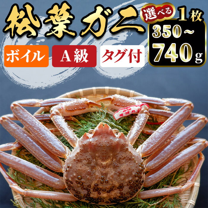 ڤդ뤵Ǽǡָۡ11ܡ3ȯͽꡦ٤̡侾ե(350740g1)     ե ...