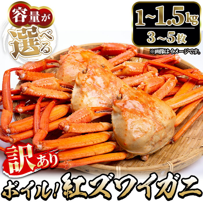 ڤդ뤵Ǽǡۡ69ȯԲġ٤롦ȥ磻 ܥ(11.5kg) Ļ      ...