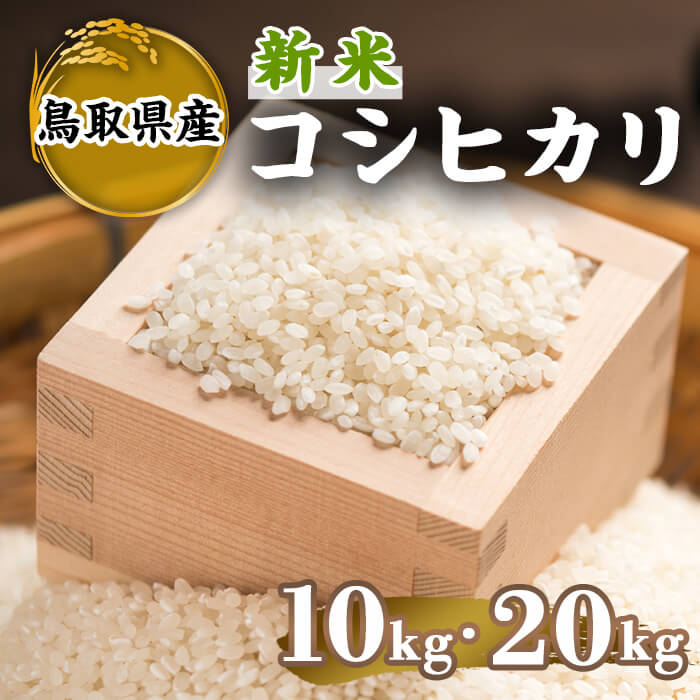 [先行予約受付中!2025年9月下旬〜2026年8月下旬発送予定][数量限定][容量が選べる]令和7年度産新米鳥取県産コシヒカリ(10kg〜20kg) 国産 米 お米 おこめ 白米 精米 おにぎり おむすび ごはん お弁当 常温 [sm-DD064][Workplays]