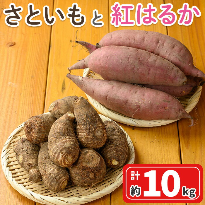 【ふるさと納税】<先行予約受付中!10月上旬~2月下旬発送予定>さといもと紅はるかのセット(約10kg) 野菜 里芋 さといも サトイモ さつまいも サツマイモ 紅はるか 煮物 汁物 ねっとり しっとり 甘み 【sm-DI003】【大原茂美】