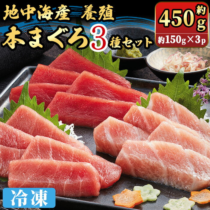 地中海産養殖本まぐろ3種セット(計約450g) 大トロ 中トロ 赤身 マグロ 本マグロ まぐろ 本まぐろ 鮪 魚介 海鮮 海の幸 冷凍 地中海 養殖[sm-DM003][Doiカンパニー]