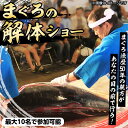 【ふるさと納税】<数量限定>まぐろ専門店「まぐろ屋DOI」の解体ショー(最大10名で参加可能) 大トロ 中トロ 赤身 マグロ まぐろ 鮪 魚介 海鮮 海の幸 利...