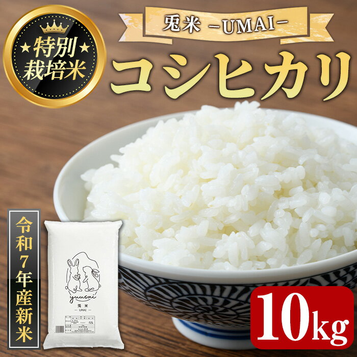 【ふるさと納税】<令和7年産新米・2025年10月中旬以降順次発送予定><数量限定>特別栽培米!兎米-UMAI- コシヒカリ(10kg) 鳥取県 米白 米 コメ こめ お米 おこめ こしひかり 精米 ごはん ご飯 10キロ 【sm-EC001】【優栽】