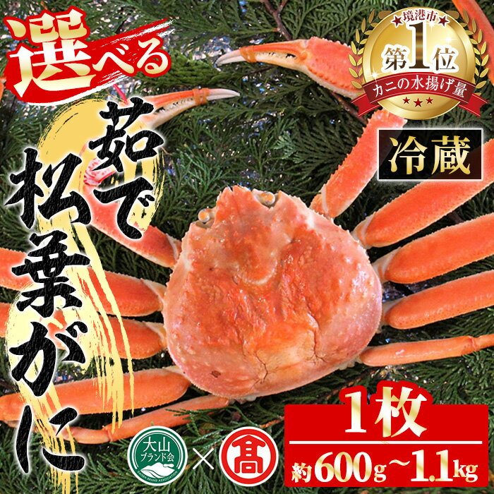 [選べる][先行予約受付中!2025年11月〜2026年3月上旬発送予定]茹で松葉がに(1枚・約600g〜1.1kg) 国産 魚介 海鮮 カニ かに 蟹 松葉ガニ 松葉蟹 ズワイガニ ずわいがに ボイル 冷蔵 コンシェルジュ [T-DI1][大山ブランド会]