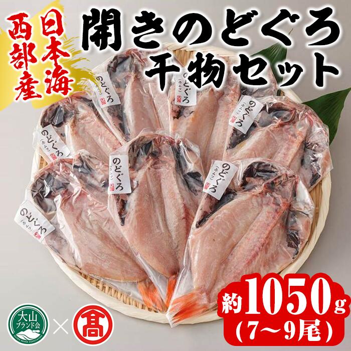 【ふるさと納税】日本海西部産 開きのどぐろ干物B(1050g・7～9尾)干物 ひもの 旬 のどぐろ 鮮魚 魚 魚介 海鮮 海の幸 水産加工 お取り寄せ 贈答用 ギフト おつまみ セット【T-AN3】【大山ブランド会】