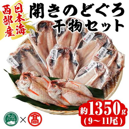 日本海西部産 開きのどぐろ干物C(1350g・9～11尾)干物 ひもの 旬 のどぐろ 鮮魚 魚 魚介 海鮮 海の幸　水産加工 お取り寄せ 贈答用 ギフト おつまみ セット【T-AN5】【大山ブランド会】