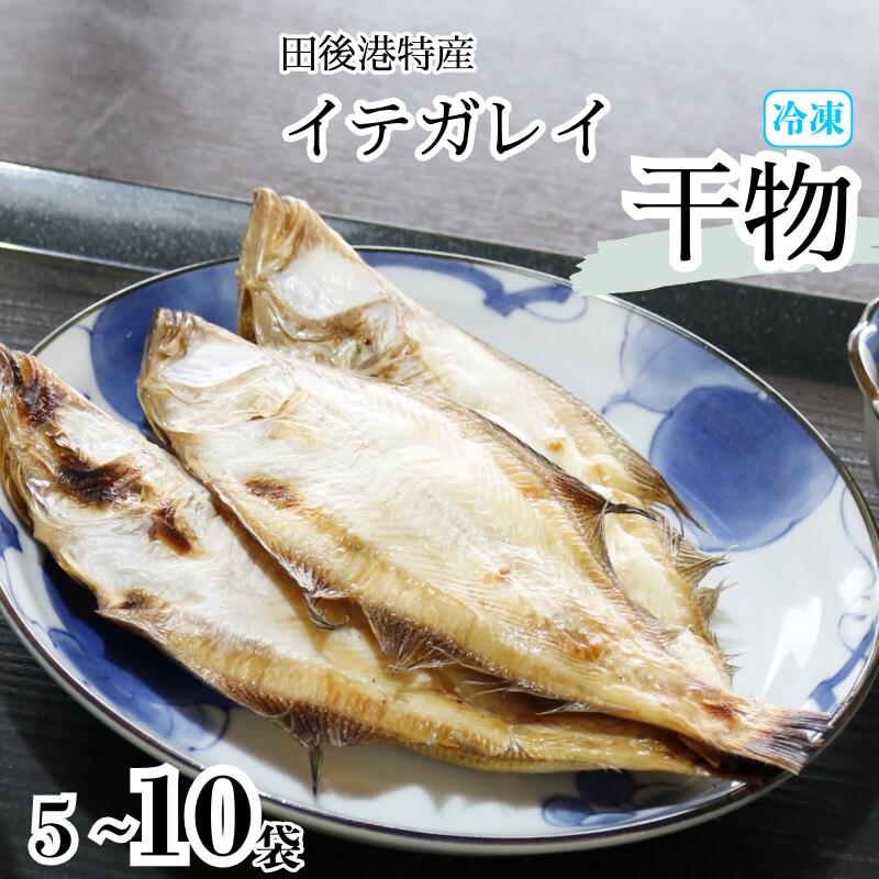 イテガレイ干物5~10個セット|鳥取 岩美 カレイ ひもの 魚介 魚 田後漁港