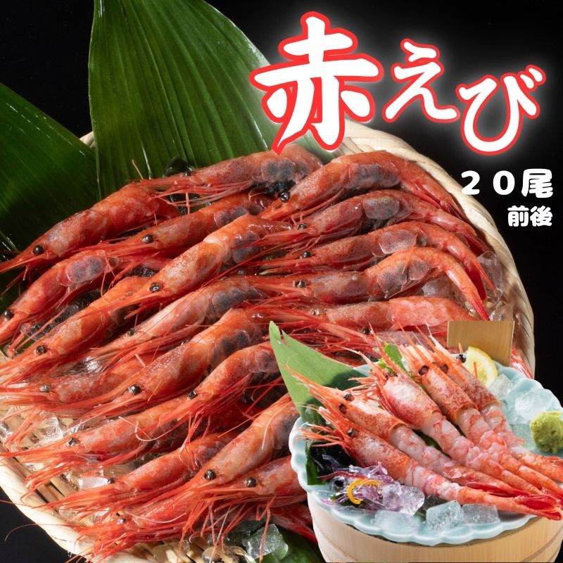 【ふるさと納税】船内冷凍/赤えび |鳥取県 岩美町 えび エビ 海老 甘えび 甘エビ 冷凍 あかえび【23004】