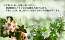 鳥取県岩美町の画像2