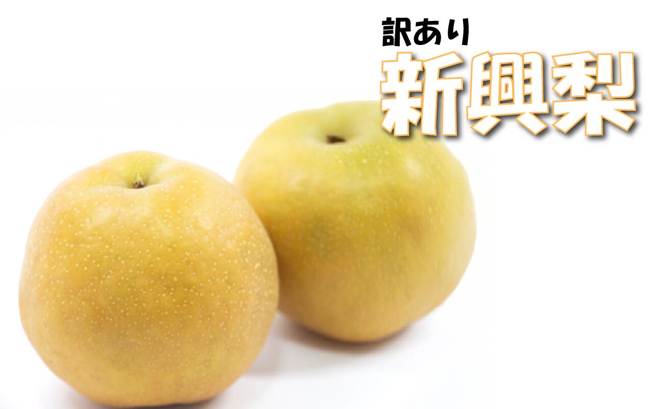 ڤդ뤵Ǽǡۡ  ɿ 35kgĻ   ʤ ʥ  ʪ ե롼