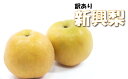 【ふるさと納税】(訳あり)中野農園 梨 ”新興梨” 3〜5kg|鳥取 岩美 梨 なし ナシ 赤梨 果物 フルーツ