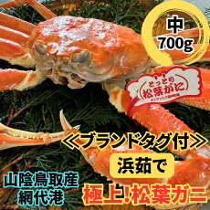 【ふるさと納税】【ブランドタグ付】浜茹で!極上松葉ガニ(中)700g【さかなや新鮮組】鳥取網代港|鳥取県 岩美町 蟹 かに カニ 松葉がに ズワイガニ 魚介 冷蔵 送料無料【22027】
