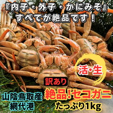 【ふるさと納税】【訳あり】活!絶品セコガニ1kgセット 11月以降順次発送【さかなや新鮮組】鳥取網代港|鳥取県 岩美町 蟹 かに カニ セコがに セコガニ ズワイガニ 新鮮 魚介 冷蔵【22032】