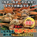 【ふるさと納税】【訳あり】浜茹で!絶品セコガニ1kgセット 11月以降順次発送 鳥取網代港【さかなや新鮮組】|鳥取県 岩美町 蟹 かに カニ セコがに セコガニ 親がに ズワイガニ 魚介 冷蔵【22031】
