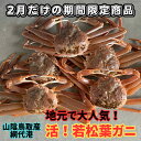 【ふるさと納税】地元で大人気 活!若松葉ガニ(中5枚)鳥取網代港 さかなや新鮮組】|鳥取県 岩美町 蟹 かに カニ 松葉がに 松葉ガニ 冷蔵 新鮮 送料無料【2...