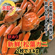 【ふるさと納税】【訳あり】浜茹で!松葉ガニ1kgセット【さかなや新鮮組】鳥取網代港|鳥取 岩美 蟹 かに カニ 松葉がに 冬の味覚 ズワイガニ ずわいがに 訳アリ 冷蔵 送料無料【22025】