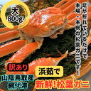 【ふるさと納税】【訳あり】浜茹で!松葉ガニ(大)800g 鳥取網代港【さかなや新鮮組】|鳥取県 岩美町 蟹 かに カニ 松葉がに ズワイガニ ボイル 冷蔵【22021】