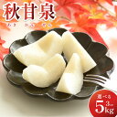 【ふるさと納税】【先行予約】先行予約 秋甘泉(あきかんせん)3~5kg|鳥取 果物 くだもの フルーツ なし 梨 和梨 秋甘泉 旬 選べる内容量 3kg 5kg 数量限定