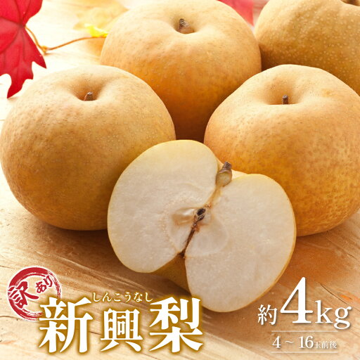 【ふるさと納税】【先行予約】訳あり 新興梨(しんこうなし)4kg|鳥取 果物 フルーツ なし 梨【41043】 【ふるさと納税】【先行予約】訳あり 新興梨(しんこうなし)4kg|鳥取 果物 フルーツ なし 梨【41043】