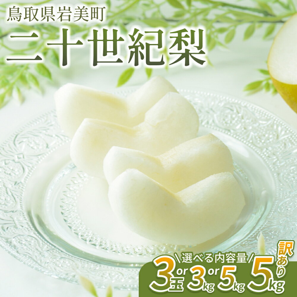 【ふるさと納税】【先行予約】中野農園 梨 ”二十世紀梨” 3玉、3～5kg 訳あり｜鳥取県 梨 なし 和梨 ナシ 二十世紀梨 20世紀梨 果物 くだもの フルーツ 2025収穫 選べる 内容量 3kg 5kg 訳アリ 数量限定 旬の梨 新甘泉 二十世紀 岩美町 特産品のサムネイル