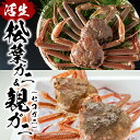 【ふるさと納税】訳あり松葉がに 親がに 夫婦セット(生)鳥取県網代産【先行予約】|鳥取県 岩美町 蟹 かに カニ 松葉ガニ 親ガニ ズワイガニ 訳あり 訳アリ ...