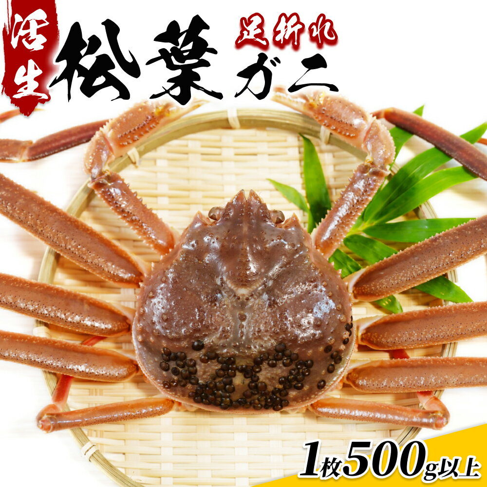 【ふるさと納税】松葉がに(足折れ1〜2本)500g以上(生)鳥取県網代産【先行予約】|鳥取県 岩美町 蟹 かに カニ 松葉ガニ 訳あり 訳アリ 新鮮 冷蔵【22...