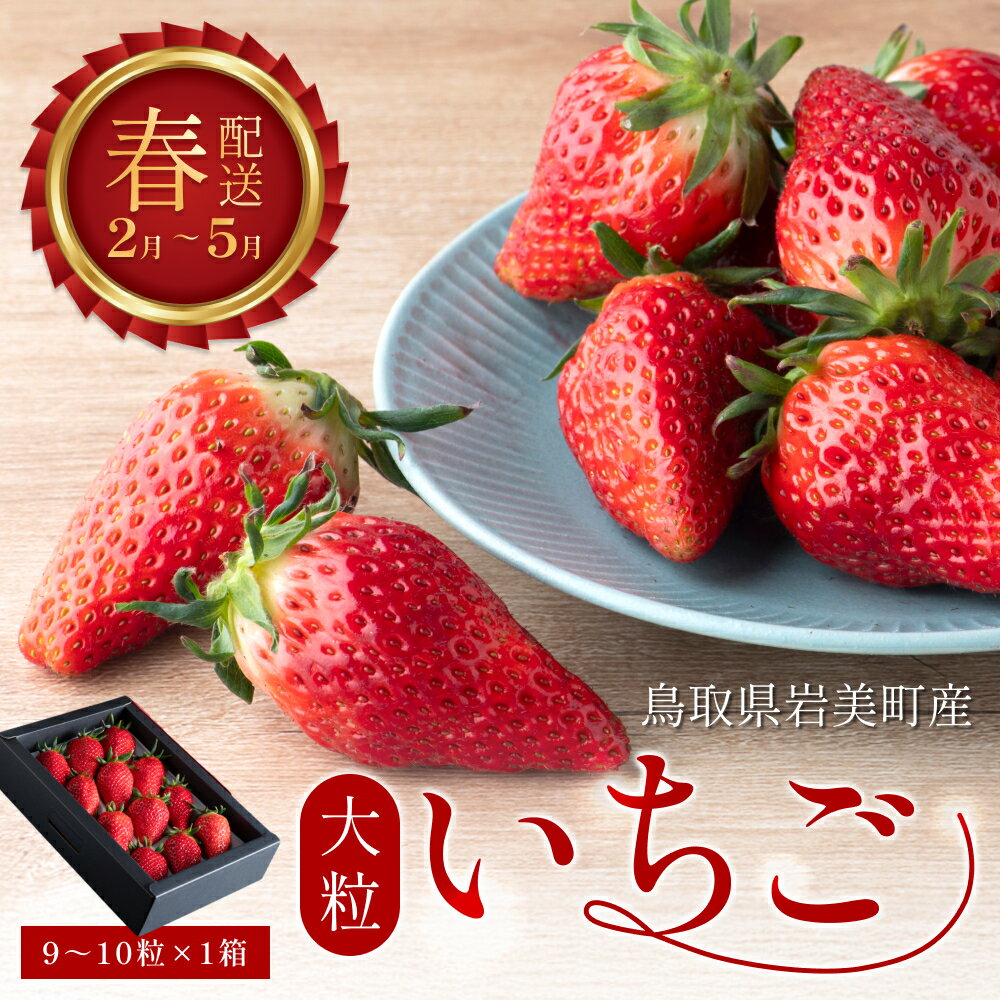 [2026先行予約]米村農園「大粒いちごB」|鳥取 岩美 苺 いちご イチゴ 果物 フルーツ とっておき あきひめ べにほっぺ いずれか[42002]