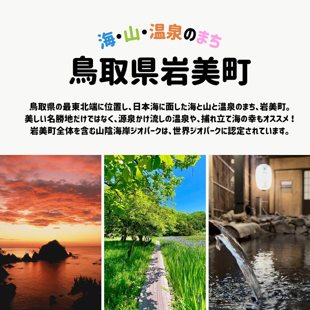 【ふるさと納税】【返礼品なし】鳥取県岩美町へのご寄附（1口2,000円） f313025-iwami-10000565 鳥取県岩美町 サンプル画像2